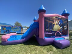 Beauty and The Beast Wet or Dry Pink Slide Combo