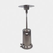 Patio Heater (with propane)