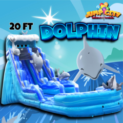 20ft Dolphin Water Slide