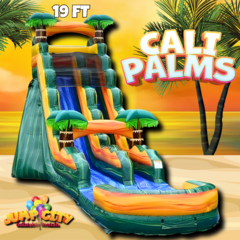 20ft Cali Palms Water Slide