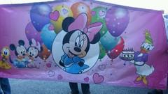 Baby Mice banner