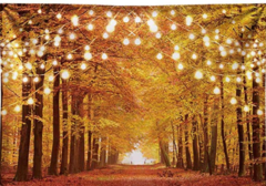 AUTUMN LIGHTS AUTUMN LIGHTS