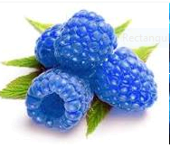 Snow Cone - Blue Raspberry