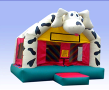 Dalmation Dalmation