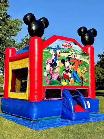 Mickey and friends 