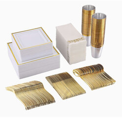 Disposable Dinner set