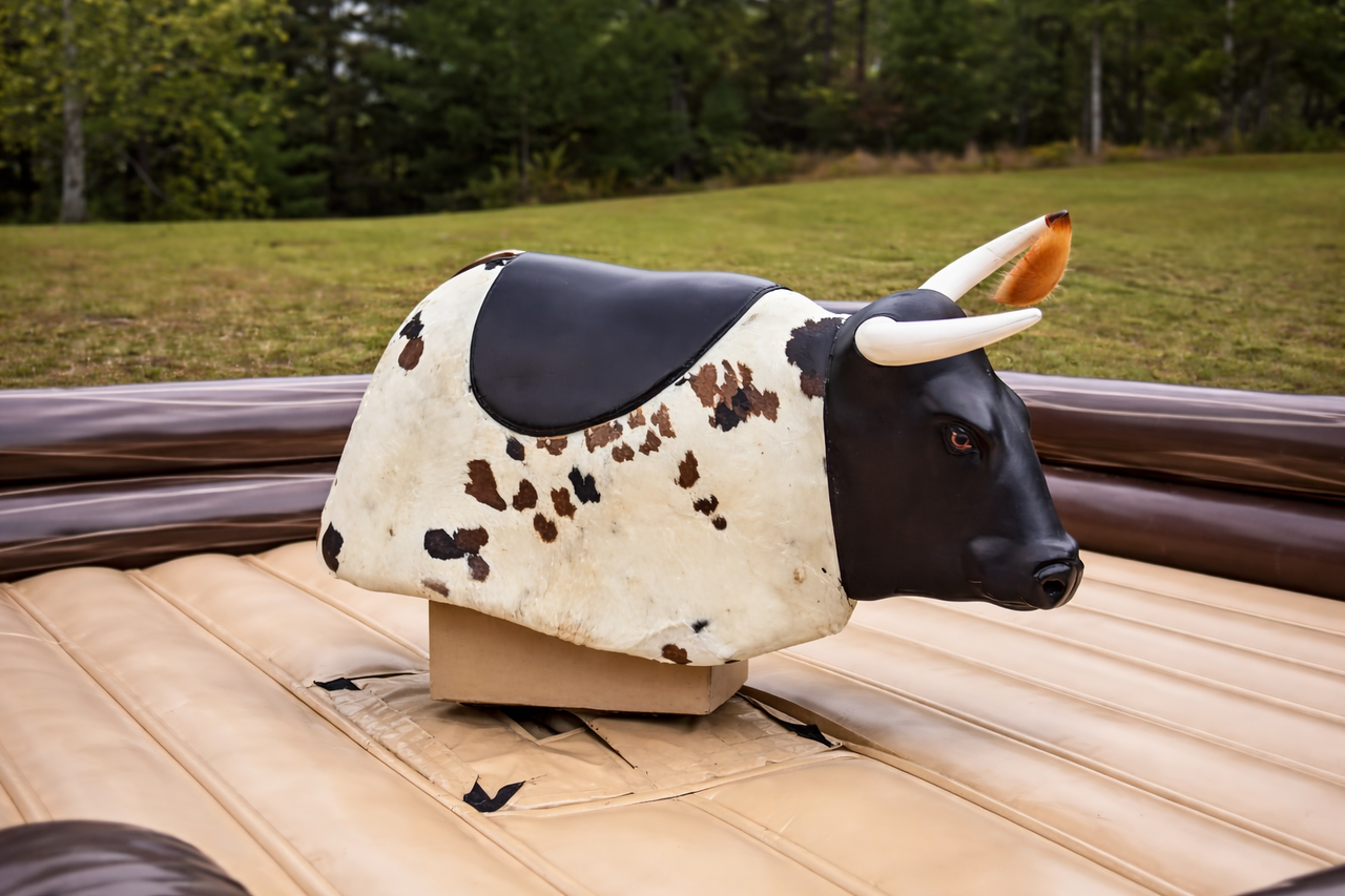 Bounce House Rentals {{city name}}