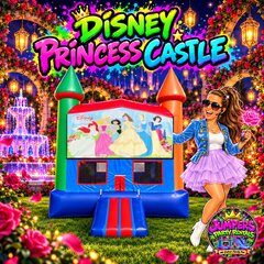 Disney Princess Castle 