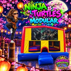 Ninja Turtles Modular