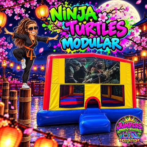 Ninja Turtles Modular