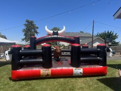 Mechanical Bull