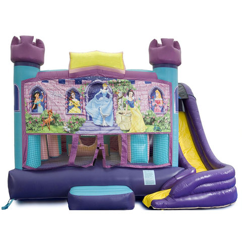 5 in 1 Obstacle Combo - Disney Princess Window