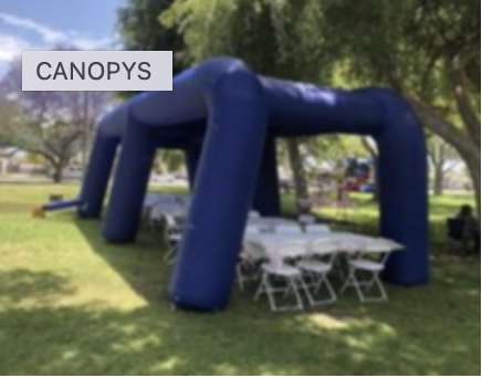 Canopy Inflatable 30lL x 11W x 10H blue