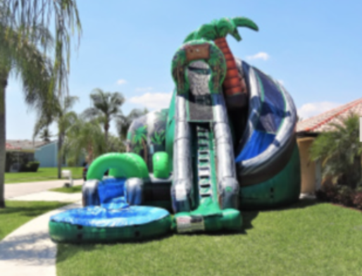 Coconut Falls water slide W Pool 26x 21x 27