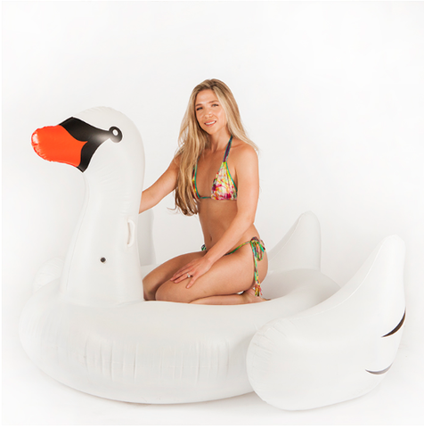 Pool Toy - Swan - FOR SALE 