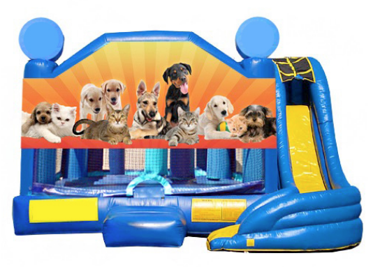 5 in 1 Obst Combo - Puppies & Kittens  w med pool