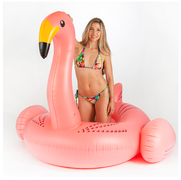 Pool Toy - Flamingo - FOR SALE 