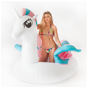Pool Toy - Unicorn - FOR SALE 