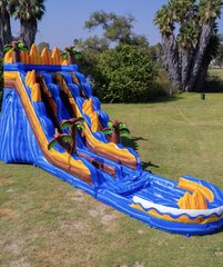 OASIS 20 FT DUAL LANE SLIDE