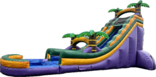 22ft Rainforest Water Slide 