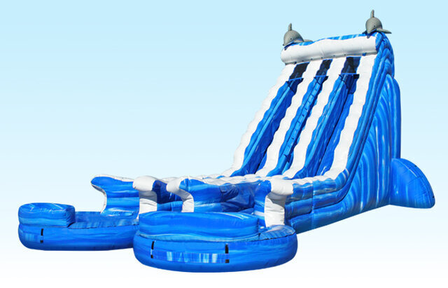 24ft Double Lane Ocean Water Slides