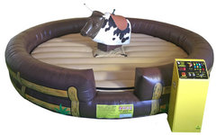 Mechanical bull rental for school carnivals and PTA fundraisers in Chicago