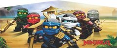 Banner - Ninjago