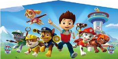 Banner - Paw Patrol