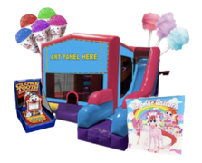 Big Purple Dream Bounce Slide Combo Party Package