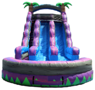 18Ft.  Dual Lane Purple Crush Water Slide