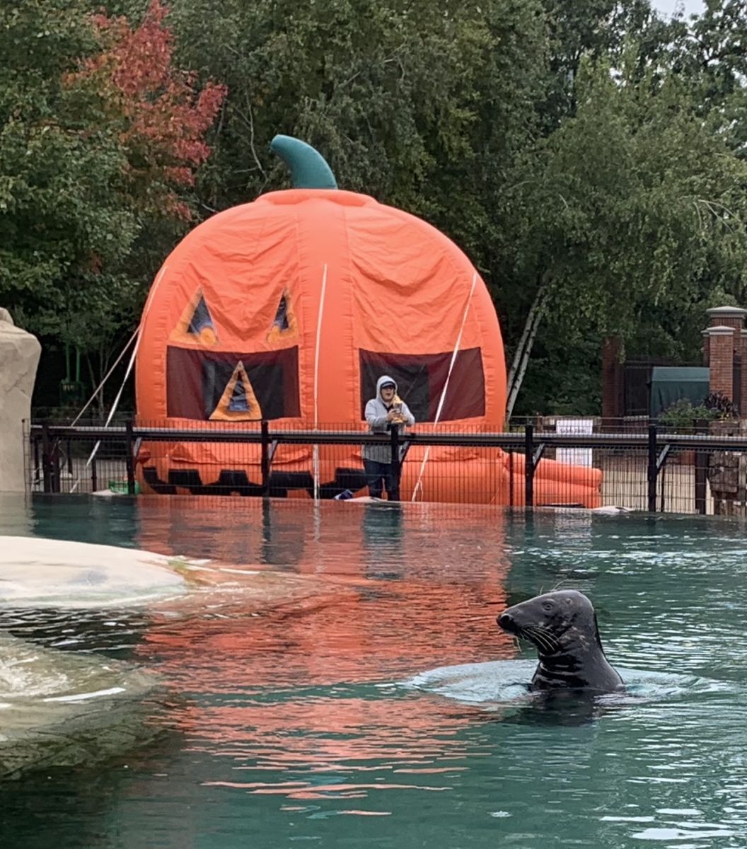 Halloween Bounce House