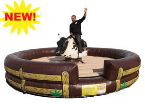 Mechanical Bull