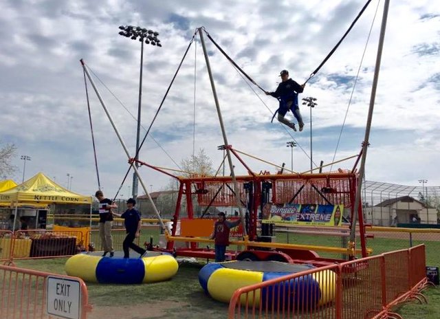 Trampoline shop bungee jumping