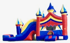 Carnival Bouncer with WATER Slide