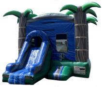 Tropical Ice Bouncer with Slide