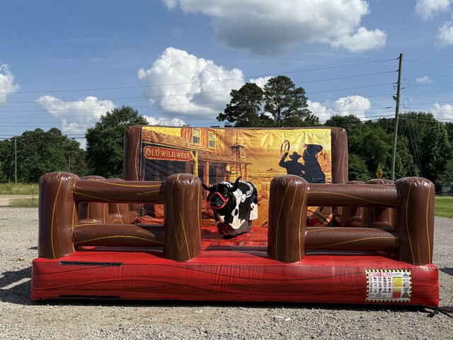 Buddy the Bull 