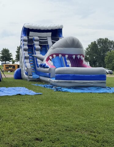 Shark Attack 