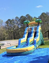 Tropical Wave Water Slide 