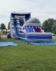 Shark Attack 