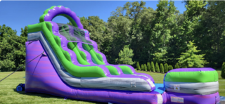 Purple Wave Slide