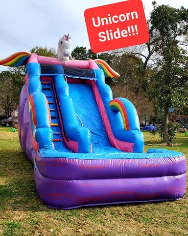 SS007 Single Lane Slide w/pool UNICORN