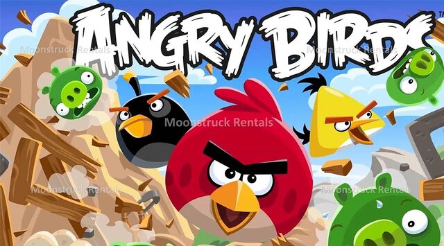 Angry Birds Banner- Large