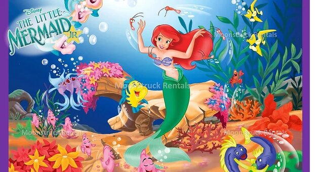 Little Mermaid Banner-Large