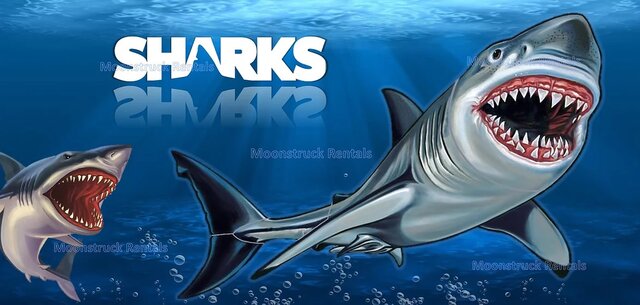 Sharks Banner -Large