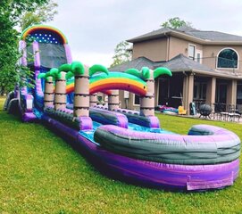 DL009A  Double Lane Purple Palm Water Slide with Slip & Slide