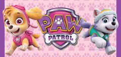Paw Patrol Girls Banner-Large 95.5" L X 44.5" W