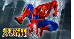 Spiderman Banner-Small