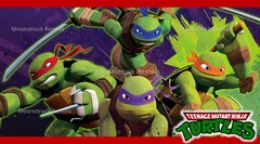 Teenage Mutant Ninja Turtles Banner-Small