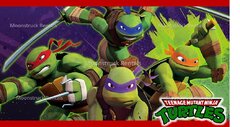 Teenage Mutant Ninja Turtles Banner