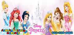 Disney Princesses Banner-Large 95.5" L X 44.5" W